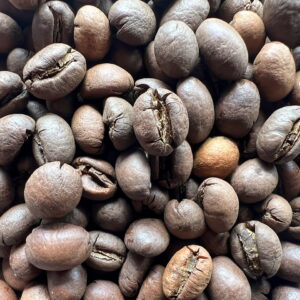 Culi Robusta